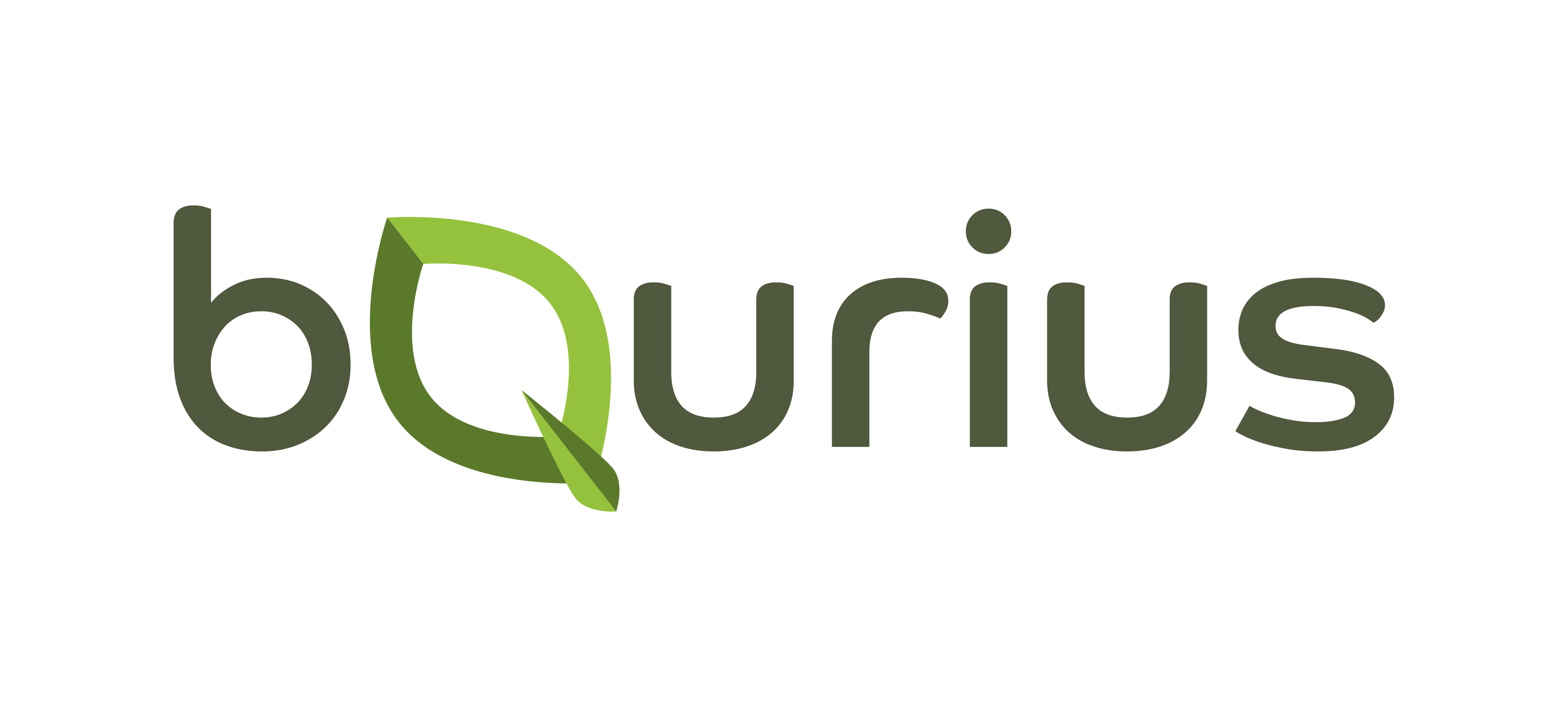 bQurius logo RGB - zonder tagline-01